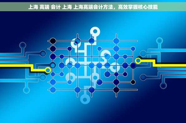 上海 高端 会计 上海 上海高端会计方法，高效掌握核心技能