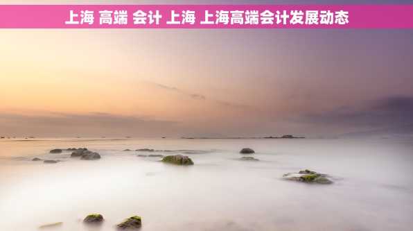 上海 高端 会计 上海 上海高端会计发展动态