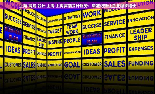 上海 高端 会计 上海 上海高端会计服务：精准记账让企业稳步增长