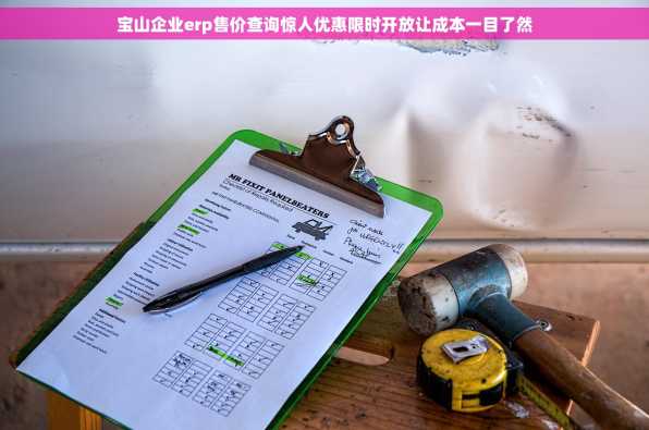 宝山企业erp售价查询惊人优惠限时开放让成本一目了然