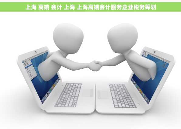 上海 高端 会计 上海 上海高端会计服务企业税务筹划