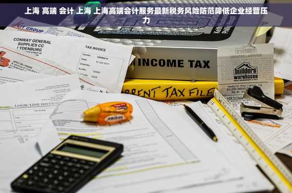 上海 高端 会计 上海 上海高端会计服务最新税务风险防范降低企业经营压力
