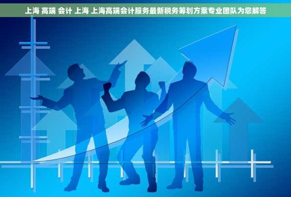 上海 高端 会计 上海 上海高端会计服务最新税务筹划方案专业团队为您解答