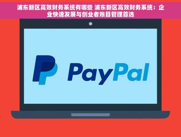 浦东新区高效财务系统有哪些 浦东新区高效财务系统：企业快速发展与创业者账目管理首选