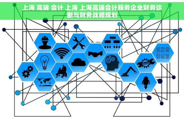 上海 高端 会计 上海 上海高端会计服务企业财务诊断与财务战略规划