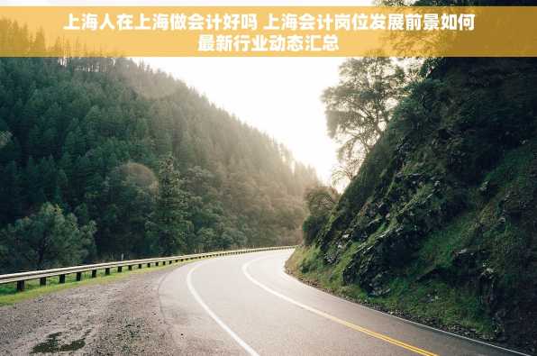 上海人在上海做会计好吗 上海会计岗位发展前景如何最新行业动态汇总