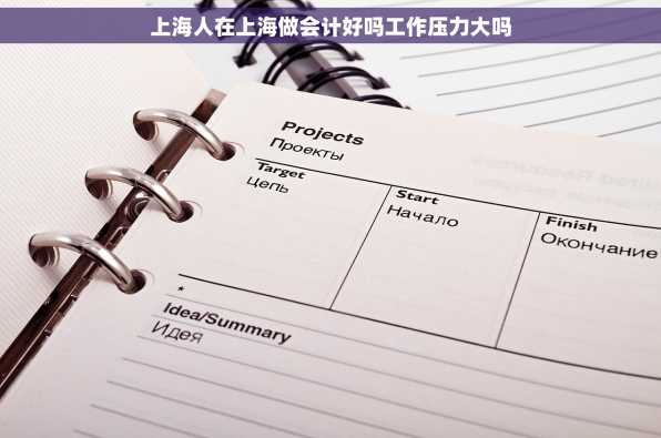 上海人在上海做会计好吗工作压力大吗