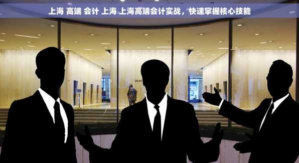 上海 高端 会计 上海 上海高端会计实战，快速掌握核心技能
