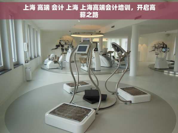 上海 高端 会计 上海 上海高端会计培训，开启高薪之路