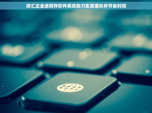 徐汇企业进销存软件系统助力生意增长并节省时间