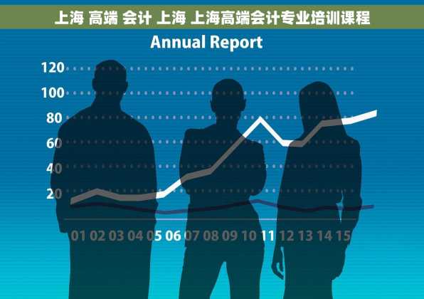 上海 高端 会计 上海 上海高端会计专业培训课程