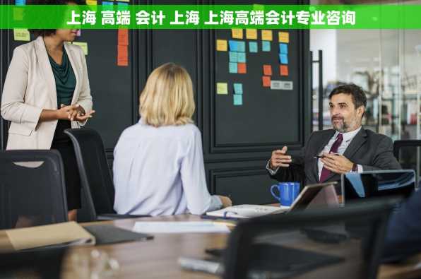 上海 高端 会计 上海 上海高端会计专业咨询