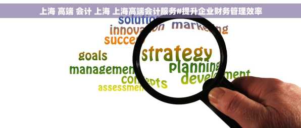 上海 高端 会计 上海 上海高端会计服务#提升企业财务管理效率