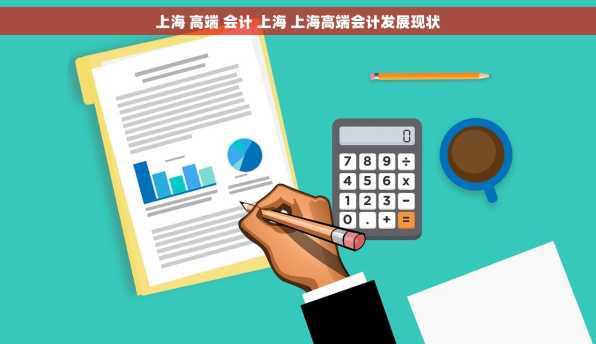 上海 高端 会计 上海 上海高端会计发展现状