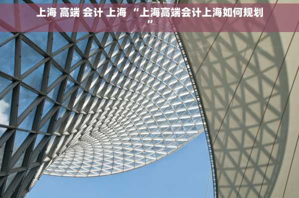 上海 高端 会计 上海 “上海高端会计上海如何规划”
