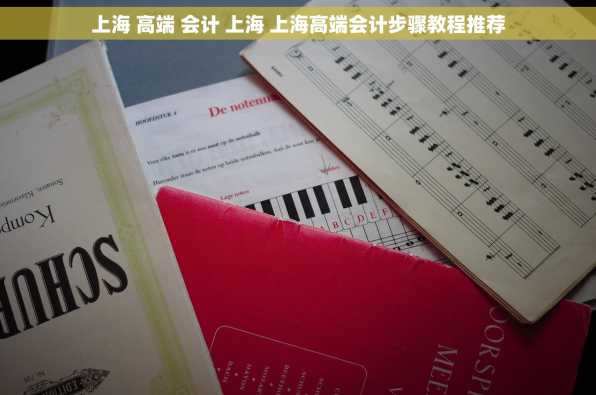 上海 高端 会计 上海 上海高端会计步骤教程推荐