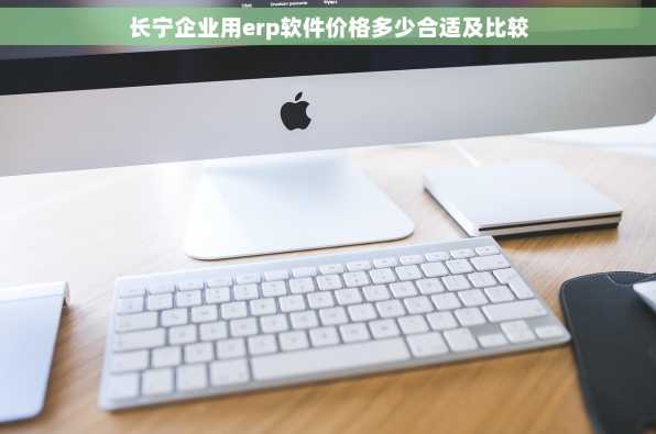 长宁企业用erp软件价格多少合适及比较