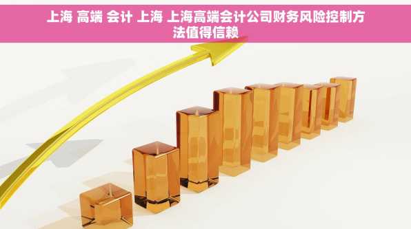 上海 高端 会计 上海 上海高端会计公司财务风险控制方法值得信赖