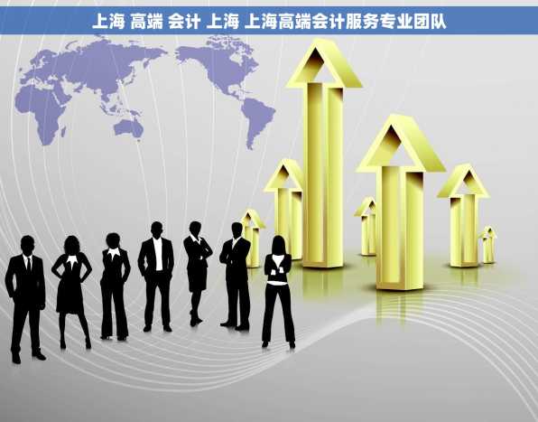 上海 高端 会计 上海 上海高端会计服务专业团队