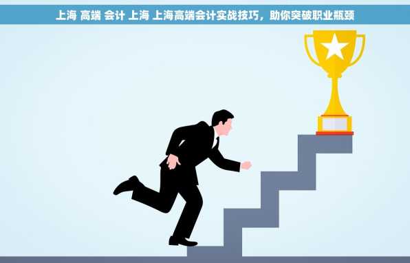 上海 高端 会计 上海 上海高端会计实战技巧，助你突破职业瓶颈