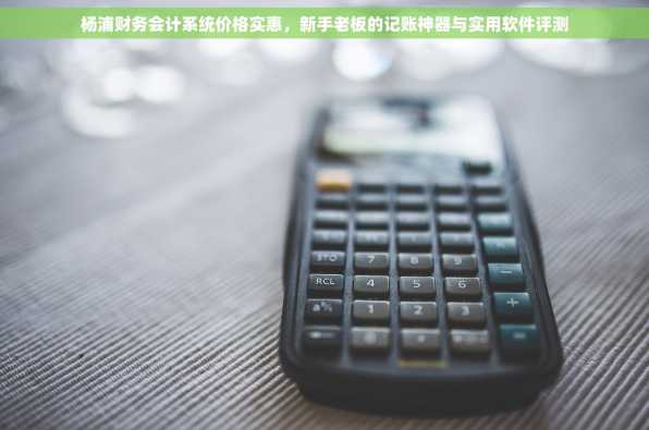 杨浦财务会计系统价格实惠，新手老板的记账神器与实用软件评测
