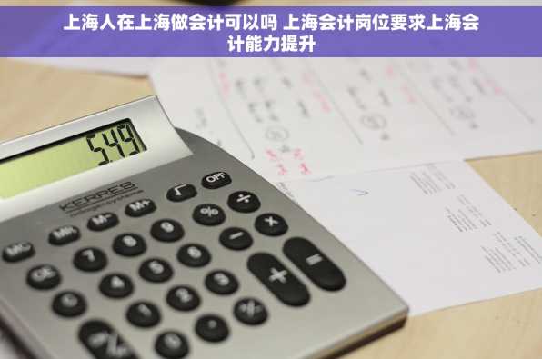 上海人在上海做会计可以吗 上海会计岗位要求上海会计能力提升