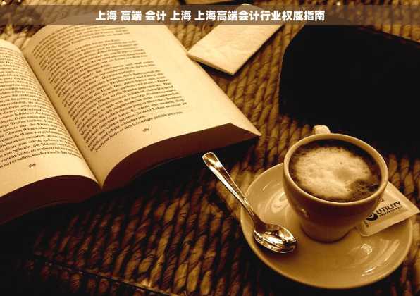 上海 高端 会计 上海 上海高端会计行业权威指南