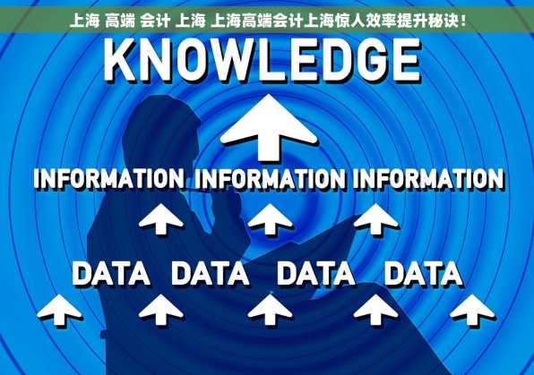 上海 高端 会计 上海 上海高端会计上海惊人效率提升秘诀！