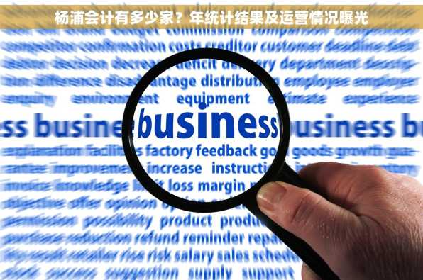 杨浦会计有多少家？年统计结果及运营情况曝光
