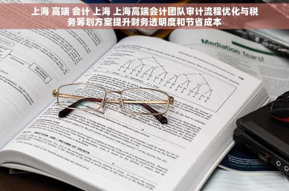 上海 高端 会计 上海 上海高端会计团队审计流程优化与税务筹划方案提升财务透明度和节省成本