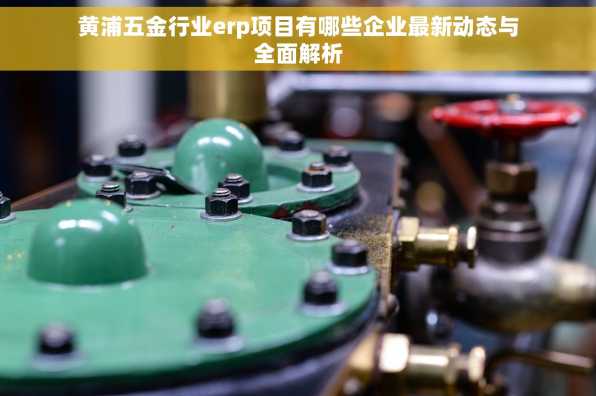 黄浦五金行业erp项目有哪些企业最新动态与全面解析