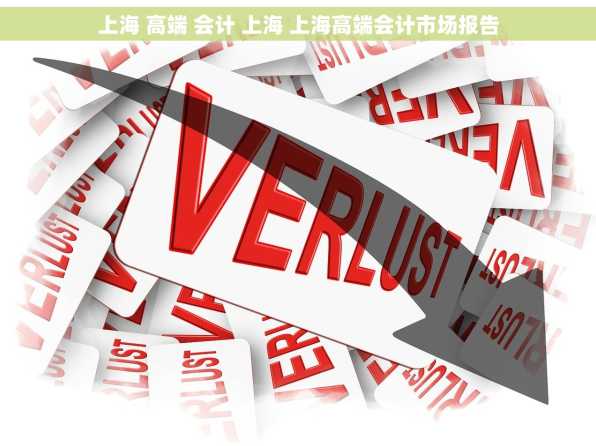 上海 高端 会计 上海 上海高端会计市场报告