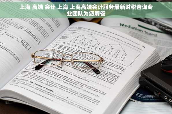 上海 高端 会计 上海 上海高端会计服务最新财税咨询专业团队为您解答