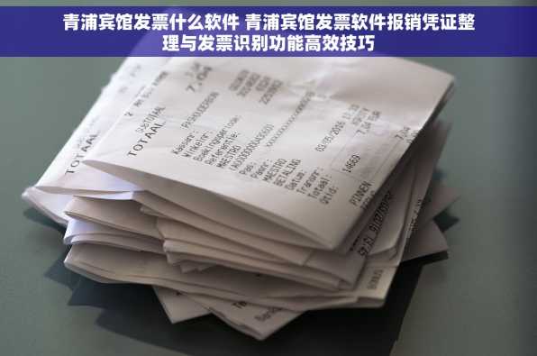 青浦宾馆发票什么软件 青浦宾馆发票软件报销凭证整理与发票识别功能高效技巧