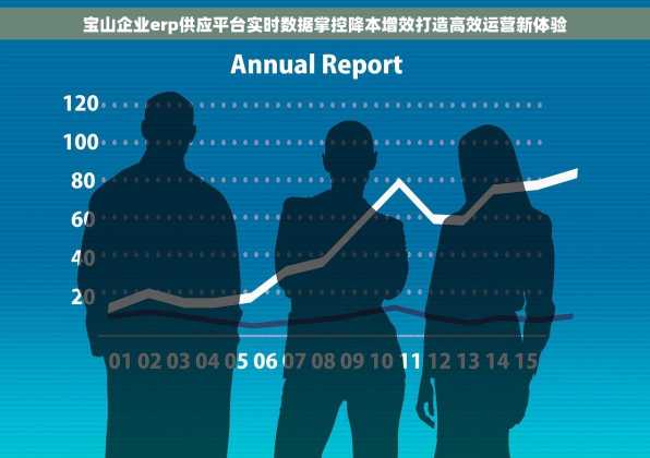 宝山企业erp供应平台实时数据掌控降本增效打造高效运营新体验