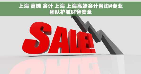 上海 高端 会计 上海 上海高端会计咨询#专业团队护航财务安全