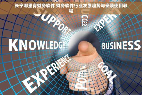 长宁哪里有财务软件 财务软件行业发展趋势与安装使用教程