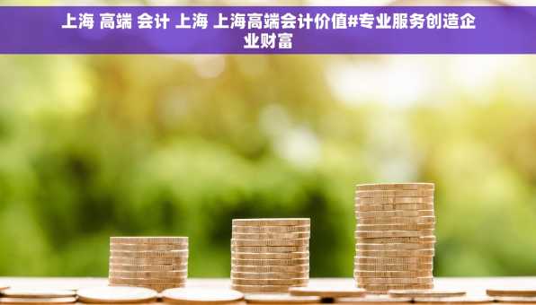 上海 高端 会计 上海 上海高端会计价值#专业服务创造企业财富