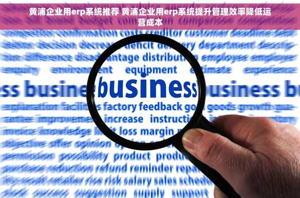 黄浦企业用erp系统推荐 黄浦企业用erp系统提升管理效率降低运营成本