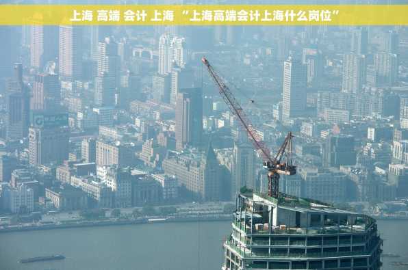 上海 高端 会计 上海 “上海高端会计上海什么岗位”