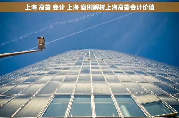 上海 高端 会计 上海 案例解析上海高端会计价值