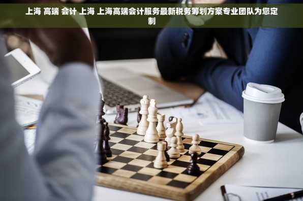 上海 高端 会计 上海 上海高端会计服务最新税务筹划方案专业团队为您定制