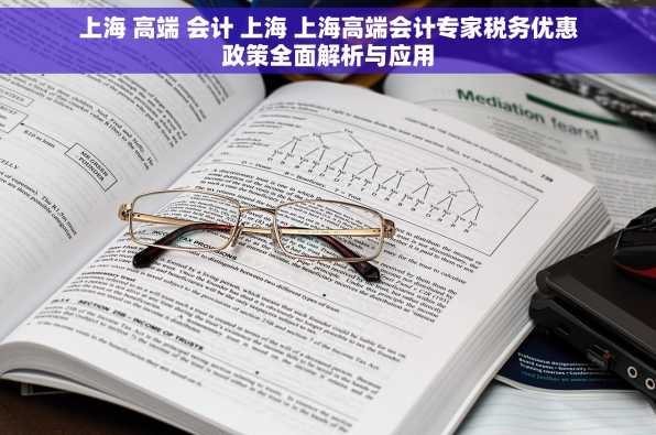 上海 高端 会计 上海 上海高端会计专家税务优惠政策全面解析与应用