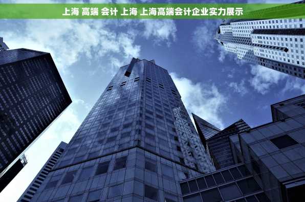 上海 高端 会计 上海 上海高端会计企业实力展示