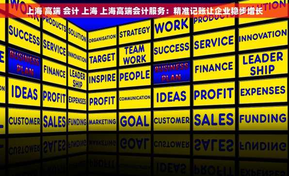 上海 高端 会计 上海 上海高端会计服务：精准记账让企业稳步增长