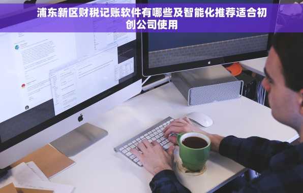 浦东新区财税记账软件有哪些及智能化推荐适合初创公司使用