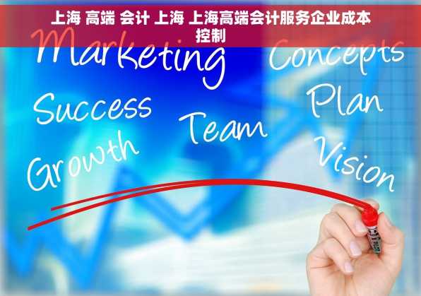 上海 高端 会计 上海 上海高端会计服务企业成本控制