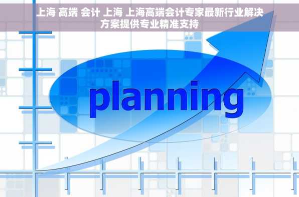 上海 高端 会计 上海 上海高端会计专家最新行业解决方案提供专业精准支持