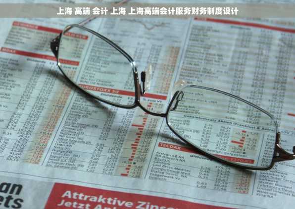 上海 高端 会计 上海 上海高端会计服务财务制度设计