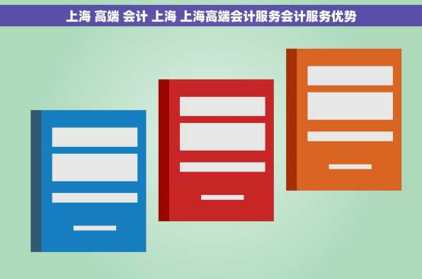 上海 高端 会计 上海 上海高端会计服务会计服务优势